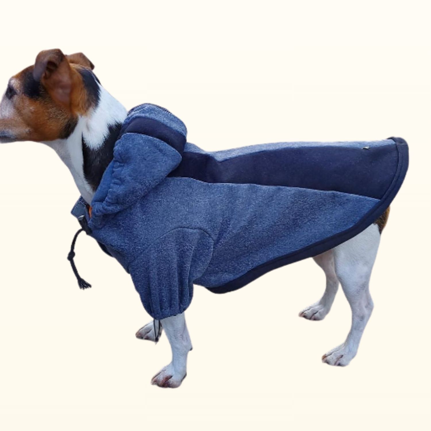 Abrigo para mascotas